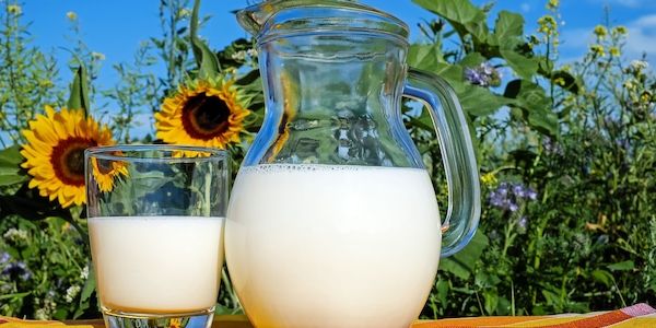 Statt Kuhmilch: Darauf sollten Sie bei Milch-Alternativen achten!
