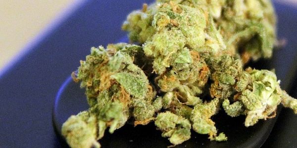 Bundesregierung ebnet Weg für legalen Verkauf von Cannabis